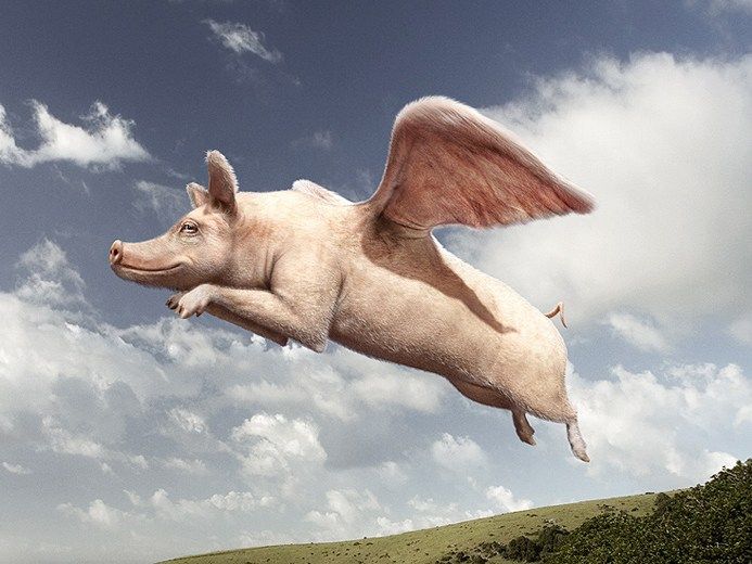 Reuters' Flying Pig Moment Israellycool